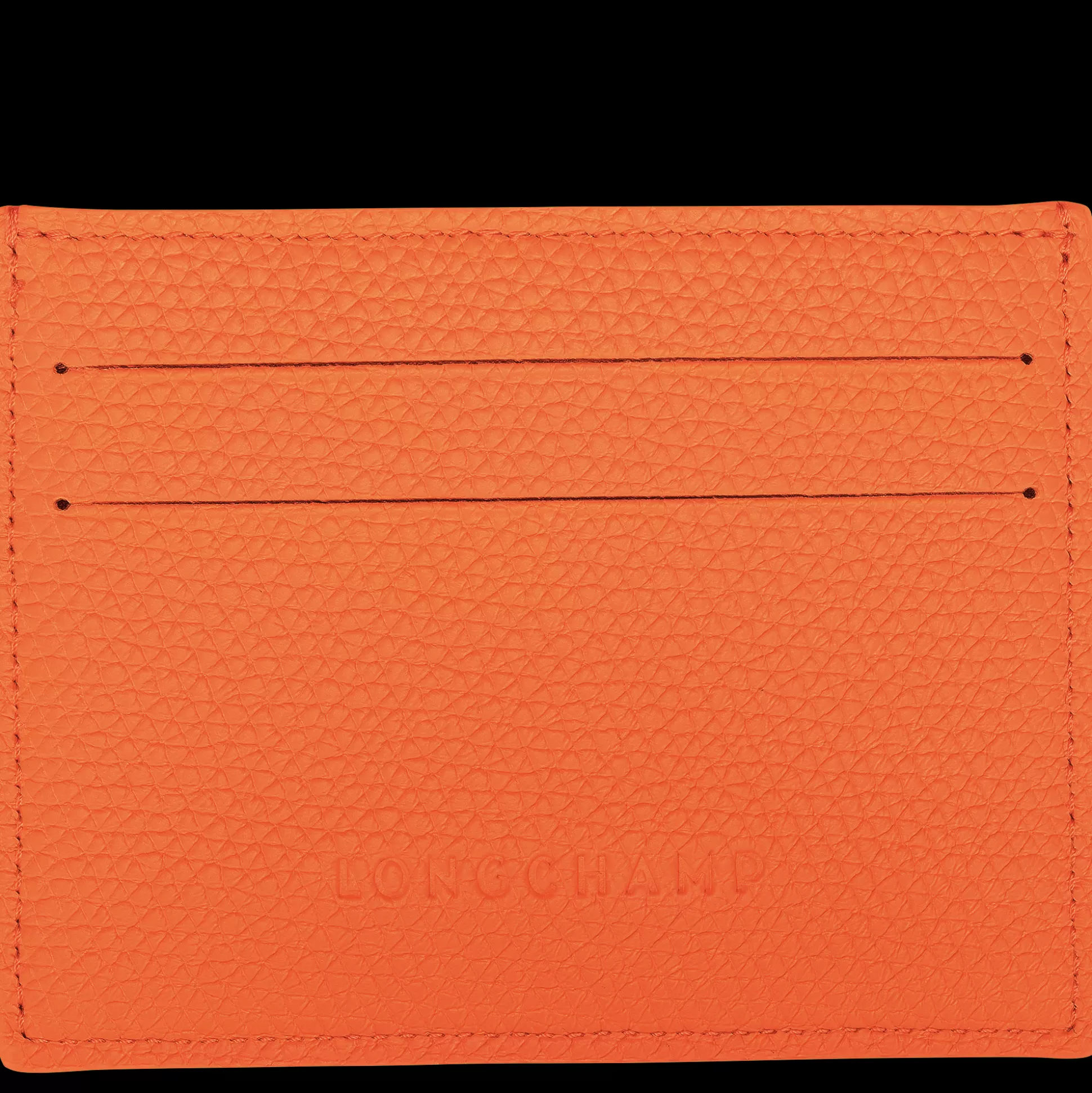 Karten-Etui Le Roseau*Longchamp Best